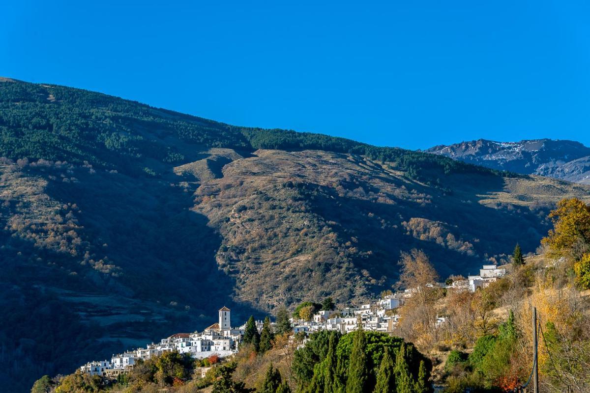 Apartamento Casa Manuela En Capileira - Alpujarra Zewnętrze zdjęcie